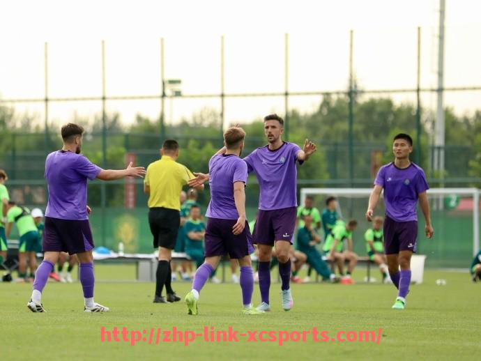 杏彩体育-德甲衰落球队排名与衰退原因解析