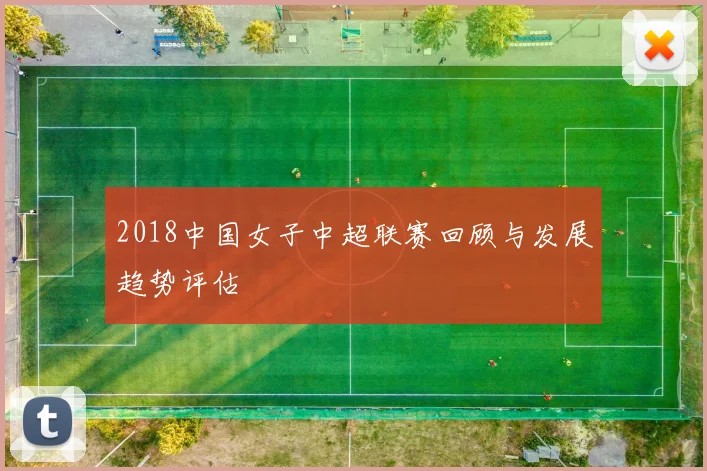 2018中国女子中超联赛回顾与发展趋势评估