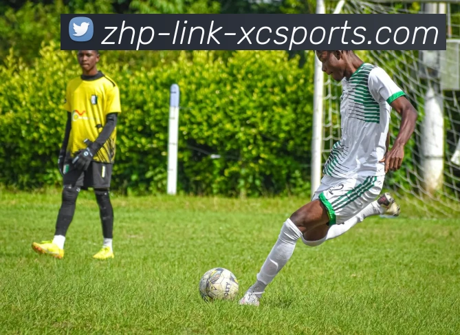 杏彩体育发展历程