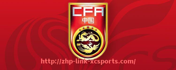 杏彩体育-法甲赛季球队排名变化及影响因素研究